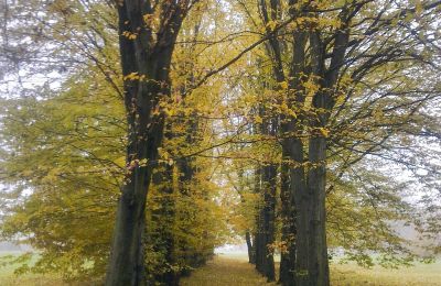 Historický park na predaj Skorki, województwo mazowieckie,, Obrázok 4/6
