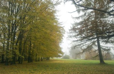 Historický park na predaj Skorki, województwo mazowieckie,, Zámocký park