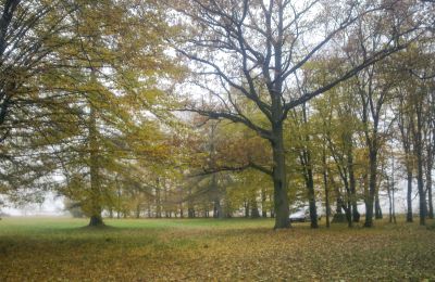 Historický park na predaj Skorki, województwo mazowieckie,, Obrázok 5/6