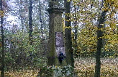 Historický park na predaj Skorki, województwo mazowieckie,, Obrázok 6/6