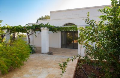 Vidiecky dom na predaj Ostuni, Strada Provinciale 21, Puglia, Obrázok 31/33