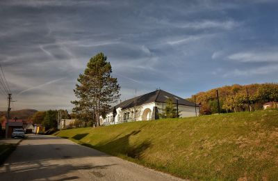 Kaštieľ na predaj Trenčiansky kraj, okres Trenčín, Melčice - Lieskové, Melčice, Západné Slovensko, Obrázok 9/27