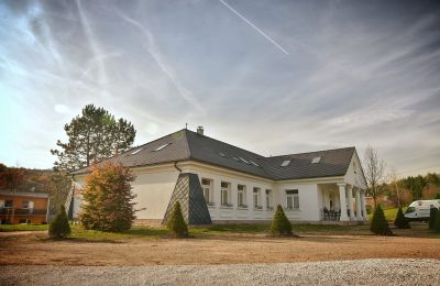 Kaštieľ na predaj Trenčiansky kraj, okres Trenčín, Melčice - Lieskové, Melčice, Západné Slovensko, Obrázok 4/27