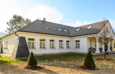 Kaštieľ na predaj Trenčiansky kraj, okres Trenčín, Melčice - Lieskové, Melčice, Západné Slovensko, Obrázok 3/27