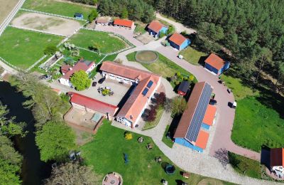 Kaštieľ Krzyż Wielkopolski, województwo wielkopolskie