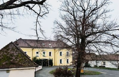 Zámok na predaj 92237 Sulzbach-Rosenberg, Schlossbergweg  10, Bayern, Pohľad z prednej strany