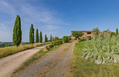 Vidiecky dom na predaj Montalcino, Toscana, Obrázok 11/26
