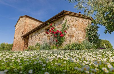Vidiecky dom na predaj Montalcino, Toscana, Obrázok 14/26