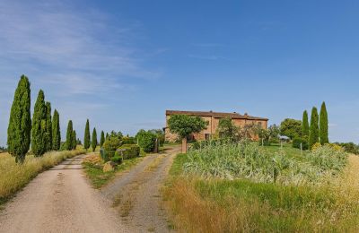 Vidiecky dom na predaj Montalcino, Toscana, Obrázok 8/26