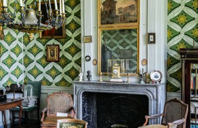 Zámok na predaj Vitry-le-François, Grand-Est, Detaily