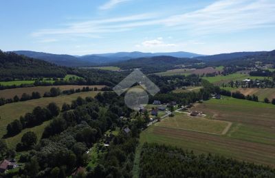 Kaštieľ na predaj Radochów, województwo dolnośląskie, Obrázok 9/10