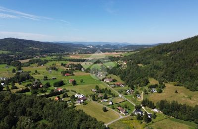 Kaštieľ na predaj Radochów, województwo dolnośląskie, Obrázok 10/10