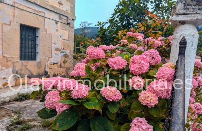 Kaštieľ na predaj Araba/Álava, Ayala/Aiara, Ayala / Aiara, Llanteno, Euskadi, Obrázok 2/29