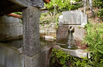 Historická nehnuteľnosť na predaj Gondomar, Galícia, Záhrada