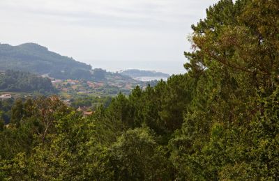 Historická nehnuteľnosť na predaj Gondomar, Galícia, Obrázok 41/48