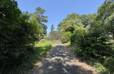Historický objekt na predaj Lannemezan, Occitanie, Obrázok 2/19