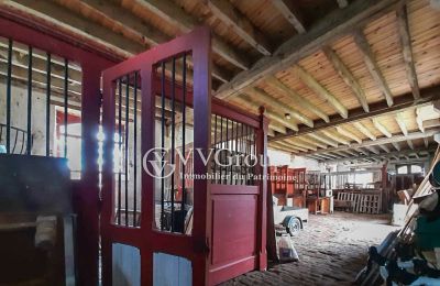 Kaštieľ na predaj Le Dorat, Nouvelle-Aquitaine, Obrázok 13/14