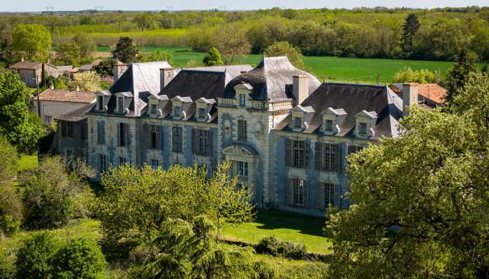 Zámok na predaj Thouars, Nouvelle-Aquitaine