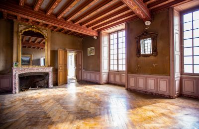 Zámok na predaj Thouars, Nouvelle-Aquitaine, Obrázok 8/16