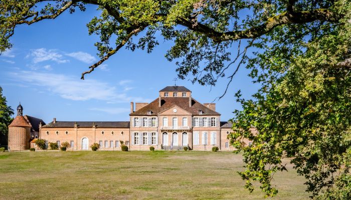 Zámok na predaj Nevers, Bourgogne-Franche-Comté,  Francúzsko