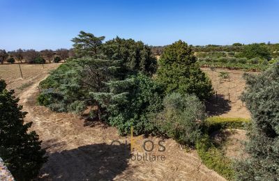 Historická nehnuteľnosť na predaj Francavilla Fontana, Puglia, Obrázok 12/34