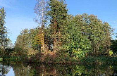 Kaštieľ na predaj Ojrzanów, Pałac w Ojrzanowie, województwo mazowieckie, Zámocký park