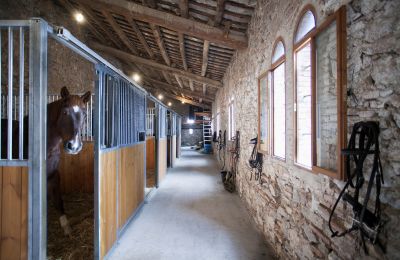 Zámok na predaj Castellar del Vallès, Poligono 19 Parcela 12, Katalánsko, Obrázok 42/50