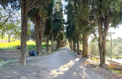 Zámok na predaj Castellar del Vallès, Poligono 19 Parcela 12, Katalánsko, Obrázok 45/50