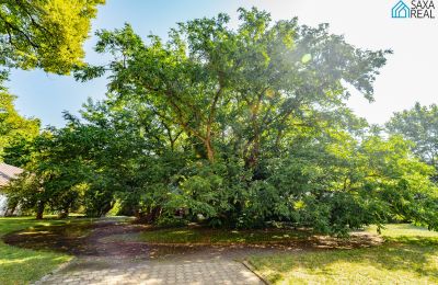 Kaštieľ na predaj Rakovec nad Ondavou, Košický kraj, Zámocký park