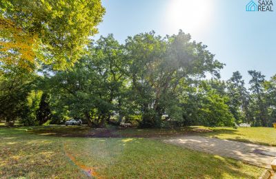 Kaštieľ na predaj Rakovec nad Ondavou, Košický kraj, Zámocký park