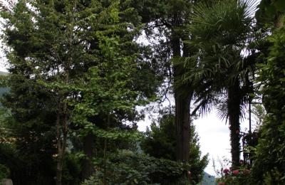 Historická vila na predaj Faido, Ticino, Prístup