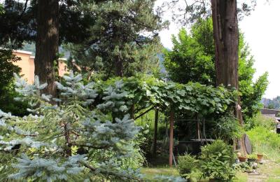 Historická vila na predaj Faido, Ticino, Obrázok 26/44