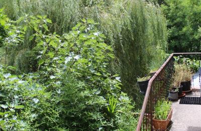 Historická vila na predaj Faido, Ticino, Obrázok 23/44