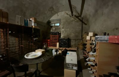 Historická vila na predaj Faido, Ticino, Cantina vini
