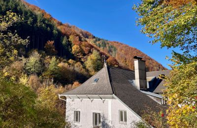Historická vila na predaj Waidhofen an der Ybbs, Dolné Rakúsko, Obrázok 31/40