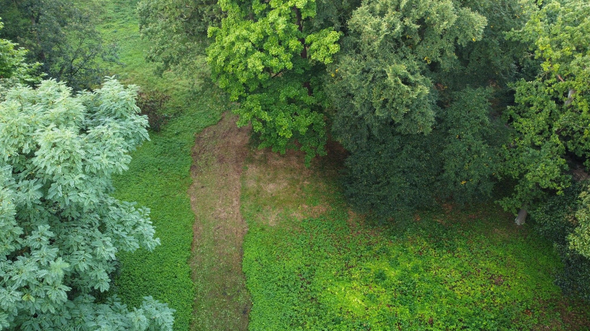 Fotky Historisches Gelände mit Baumöglichkeit in der Denkmalzone von Iłowa (Schloss Halbau)