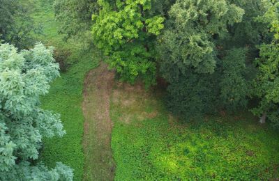Historický park na predaj Iłowa, Kolejowa 11, województwo lubuskie, Obrázok 1/17