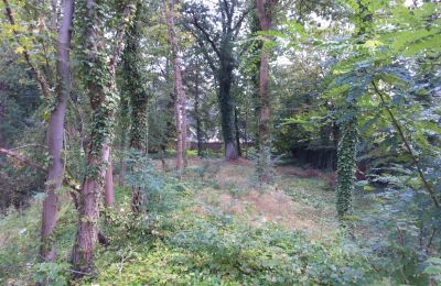 Historický park na predaj Iłowa, Kolejowa 11, województwo lubuskie, Obrázok 9/17