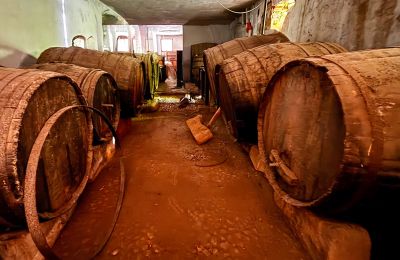 Mestský palác na predaj Ribera, Roma 37, Sicilia, Vínna pivnica