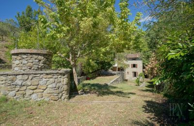 Mlyn na predaj Cortona, strada provinciale 34, Toscana, Obrázok 10/35