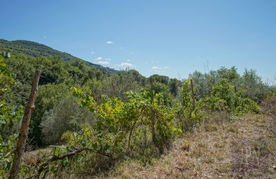 Mlyn na predaj Cortona, strada provinciale 34, Toscana, Obrázok 12/35