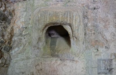 Mlyn na predaj Cortona, strada provinciale 34, Toscana, Obrázok 15/35