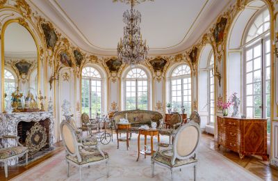 Zámok na predaj Abbeville, Hauts-de-France, Salón