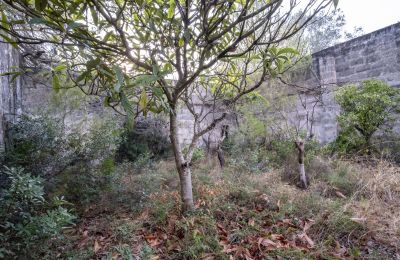 Vidiecky dom na predaj Manduria, Via per Lecce km 2, Puglia, Obrázok 20/31