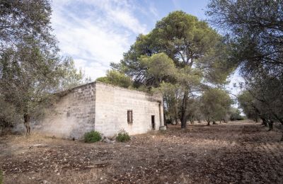 Vidiecky dom na predaj Manduria, Via per Lecce km 2, Puglia, Obrázok 25/31