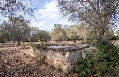 Vidiecky dom na predaj Manduria, Via per Lecce km 2, Puglia, Obrázok 28/31