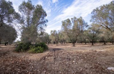 Vidiecky dom na predaj Manduria, Via per Lecce km 2, Puglia, Obrázok 29/31