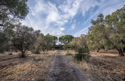 Vidiecky dom na predaj Manduria, Via per Lecce km 2, Puglia, Obrázok 31/31