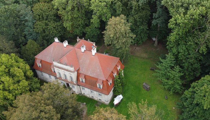 Kaštieľ na predaj Popowo Stare, województwo wielkopolskie,  Poľsko