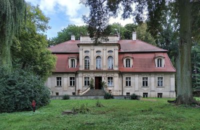 Kaštieľ na predaj Popowo Stare, Pałac w Popowie Starym, Veľkopoľsko, Obrázok 5/19